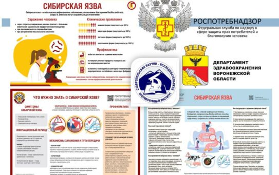18.09.2023 г. Сибирская язва: итоги семинара и рекомендации населению