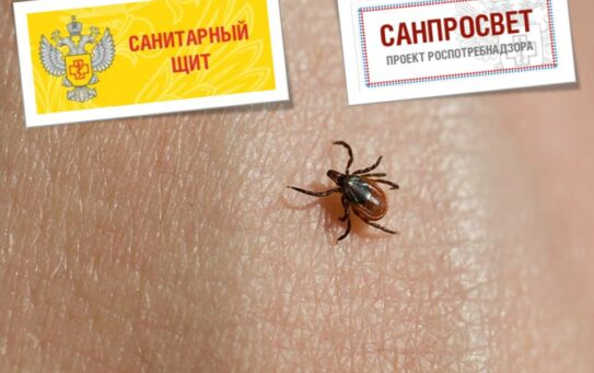 Эпидемиологическая ситуация в регионе по инфекциям, передающимся клещами. Рекомендации по специфической и неспецифической профилактике — 14.04.2025г.