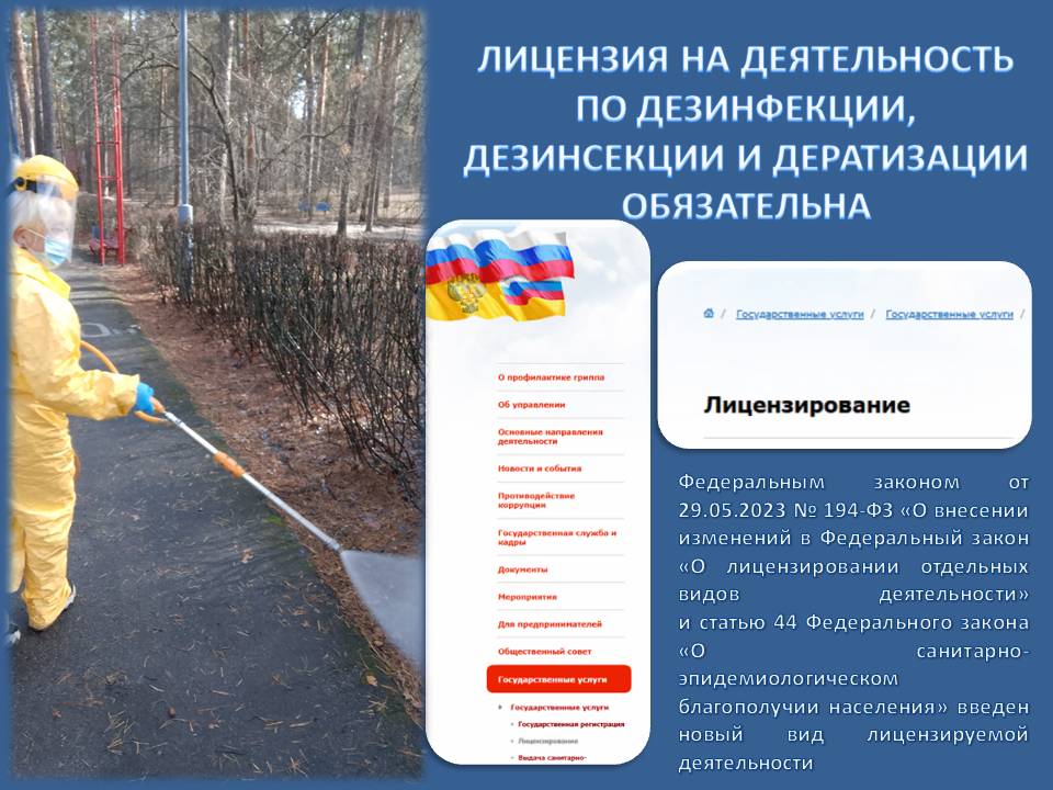 Полезная информация