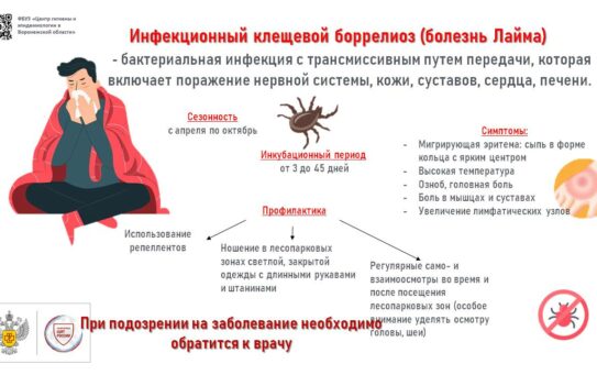 «Эпидемиологическая ситуация в регионе по инфекциям, передающимся клещами» — 12.05.2025г.
