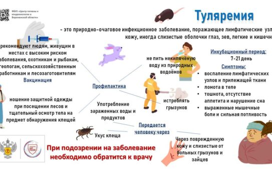 Туляремия или «малая чума» — 09.06.2025г.