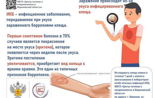 «Эпидемиологическая ситуация в регионе по инфекциям, передающимся клещами» — 15.07.2025г.
