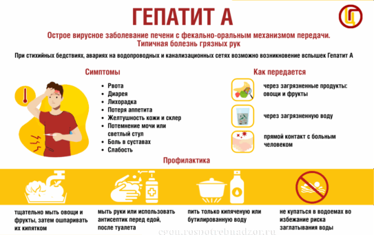 Что надо знать о вирусном гепатите А — 15.07.2025г.