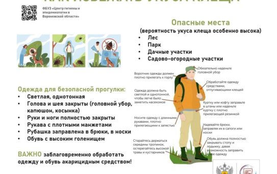 Эпидемиологическая ситуация в регионе по инфекциям, передающимся клещами — 22.07.2025