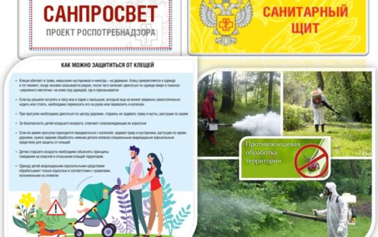 Эпидемиологическая ситуация по инфекциям, передающимся клещами — 29.08.2025