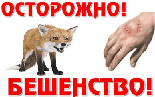 26.09.2025 г. Бешество