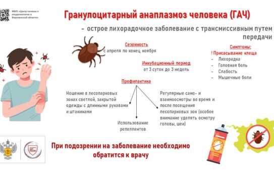 Эпидемиологическая ситуация в регионе по инфекциям, передающимся клещами — 11.09.2025