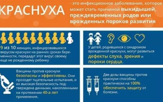 Подчищающая иммунизация против краснухи 2025 — 26.09.2025
