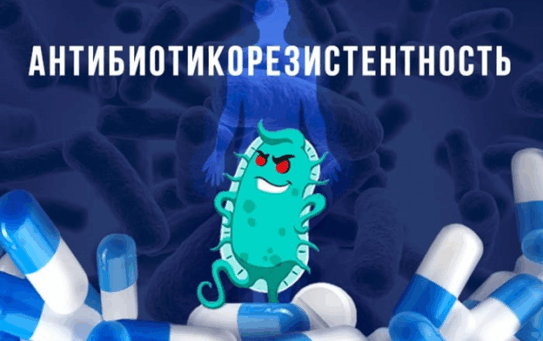 Проблема устойчивости к противомикробным препаратам — 11.11.2025