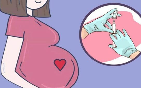 О вакцинации во время планирования беременности и беременности — 24.12.2025