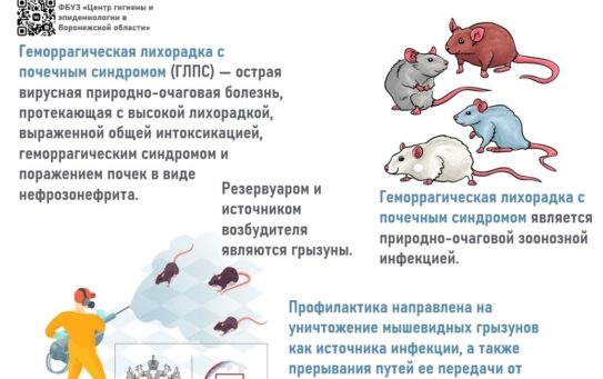 Рекомендации по мерам профилактики геморрагической лихорадки с почечным синдромом — 08.12.2025 г.