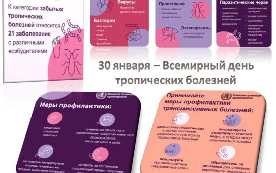 19.01.2026 г. 30 января – Всемирный день тропических болезней. ВОЗ о борьбе с забытыми тропическими болезнями