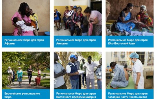 Отдых в странах тропического и субтропического регионов: меры профилактики инфекций, передающихся кровососущими комарами — 16.01.2026