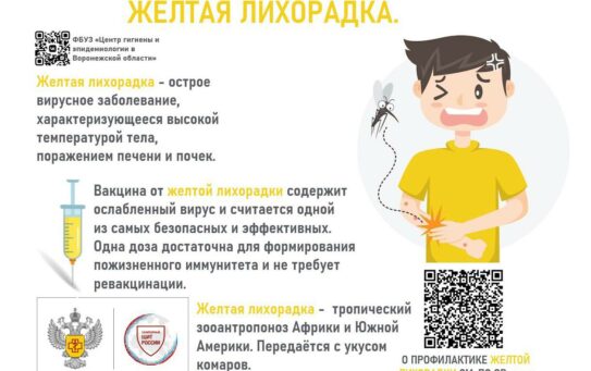 19.01.2026 г. Отдых в странах тропического и субтропического регионов: меры профилактики инфекций, передающихся кровососущими комарами