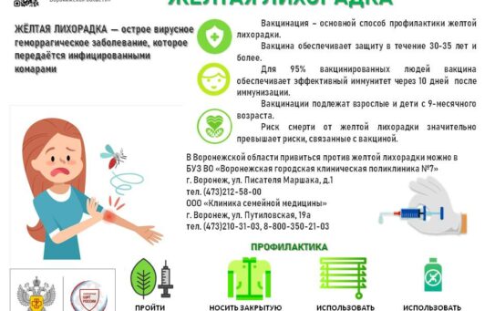 Желтая лихорадка: вакцинация, переход на электронный документ международного сертификата о вакцинации. 24.02.2026 г.