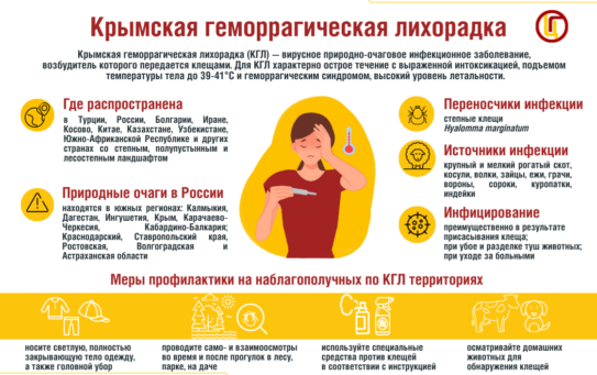 «Крымская геморрагическая лихорадка: ситуация в мире и России, меры профилактики» 03.02.2026 г.