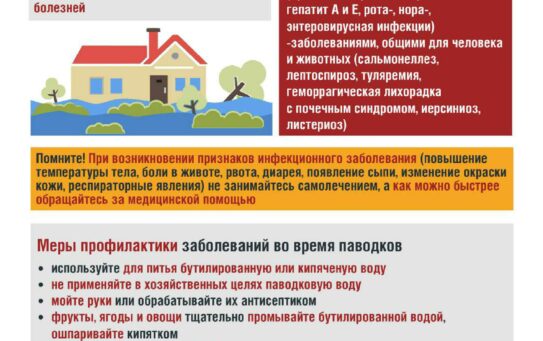Санитарно-гигиенические мероприятия при паводках: как защитить здоровье населения. 27.02.2026 г.
