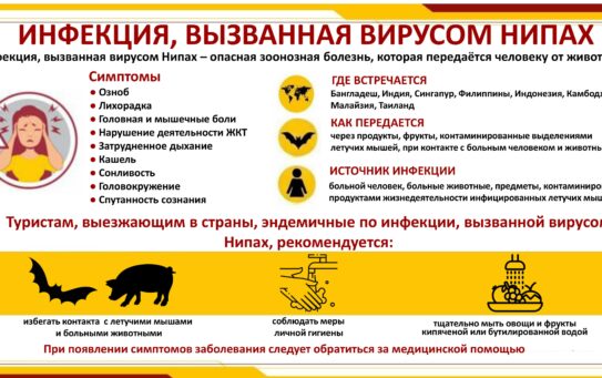 Рекомендации путешественникам по соблюдению мер профилактики для снижения риска заражения вирусом Нипах. 20.02.2026 г.