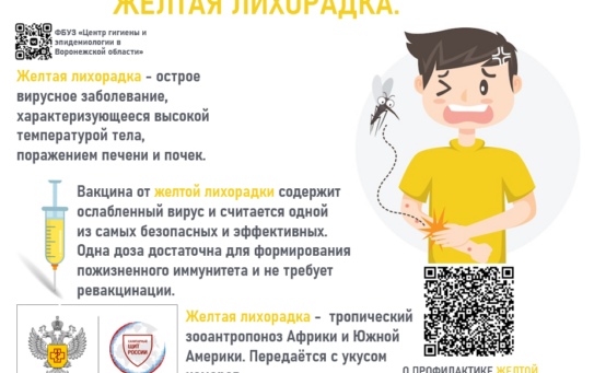 Желтая лихорадка: ситуация в мире и профилактика 18.02.2026 г.
