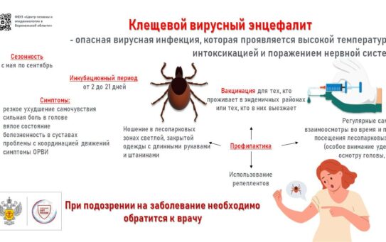 «Клещевой энцефалит: перечень эндемичных территорий, вакцинация» 03.02.2026 г.
