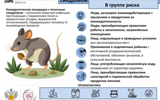 Рекомендации по мерам профилактики геморрагической лихорадки с почечным синдромом. 10.03.2026 г.