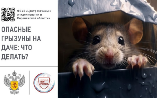 РЕКОМЕНДАЦИИ ПО ЗАЩИТЕ ДАЧНЫХ УЧАСТКОВ ОТ ГРЫЗУНОВ — 31.03.2026