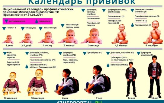23.03.2026 г. Календарь прививок