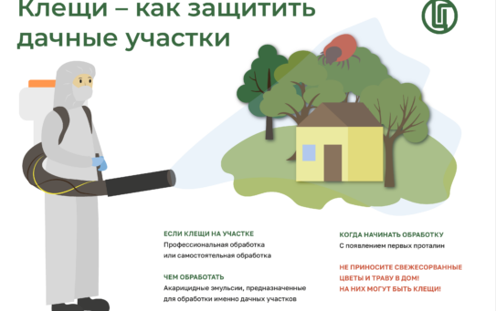 РЕКОМЕНДАЦИИ ПО ЗАЩИТЕ ДАЧНЫХ УЧАСТКОВ ОТ КЛЕЩЕЙ — 31.03.2026