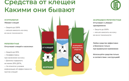 30.03.2026 г. Роспотребнадзор напоминает о средствах защиты от различного рода насекомых – репеллентах