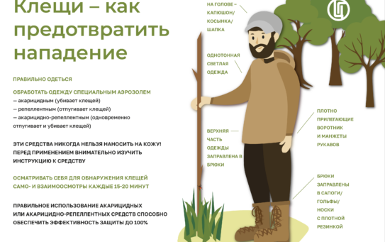 14.04.2026 г. Эпидемиологическая ситуация в регионе по инфекциям, передающимся клещами. Рекомендации по профилактике.