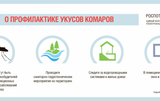 Путешественник, комары могут быть опасны! — 06.04.2026