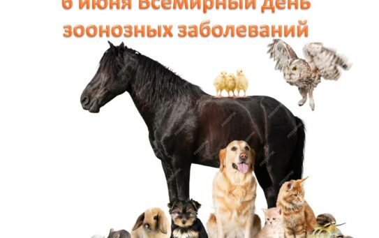 01.07.2026 г. 6 июля Всемирный день зоонозов: меры профилактики