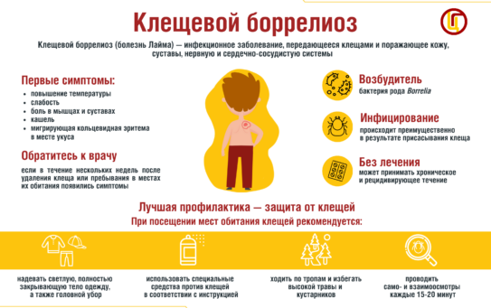 Эпидемиологическая ситуация в регионе по инфекциям, передающимся клещами. Рекомендации по профилактике — 23.06.2026 г.