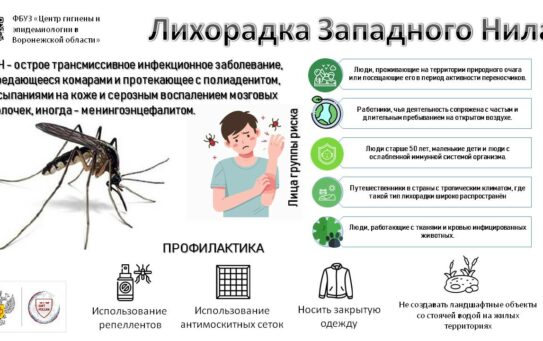 Болезни, передаваемые комарами, и меры профилактики — 26.08.2026