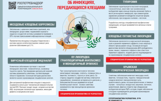 Эпидемиологическая ситуация в регионе по инфекциям, передающимся клещами. Рекомендации по профилактике. — 24.09.2026